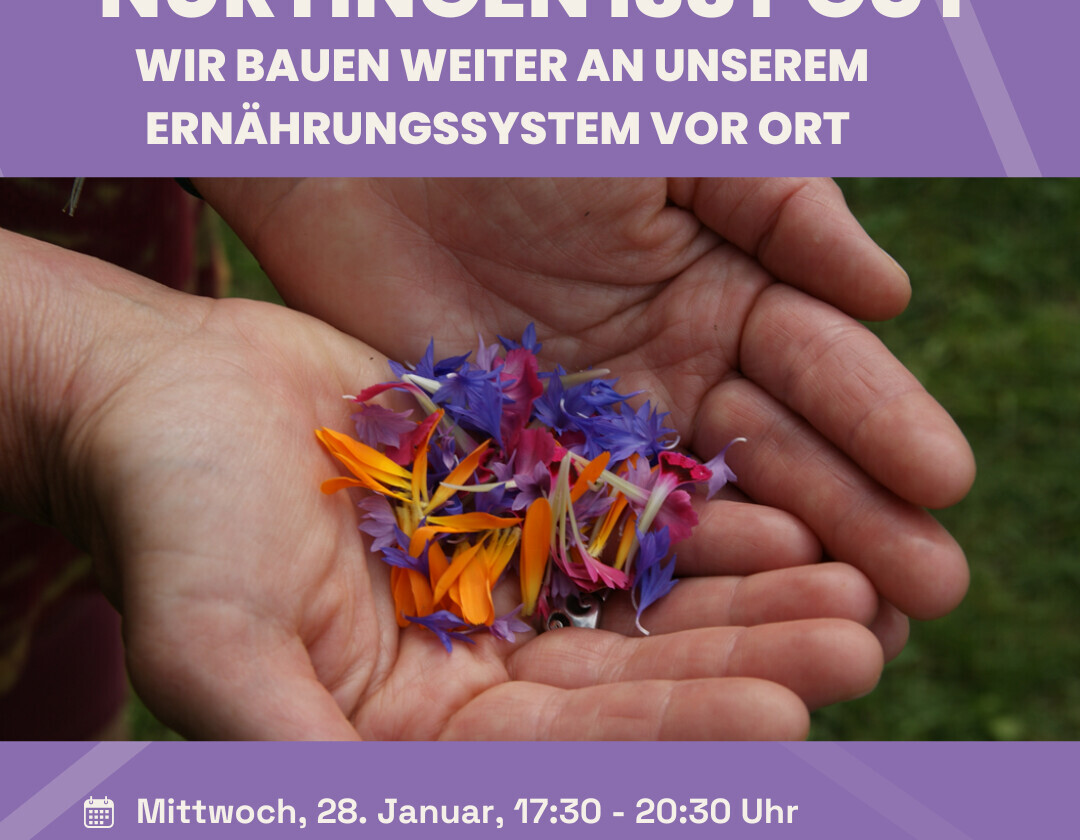 Nürtingen isst gut: Gemeinsam ein Ernährungsfestival für Nürtingen gestalten